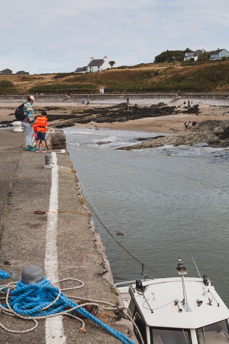 ‘Crabbing’ Off The Harbour Wall — CEMAES, ANGLESEY